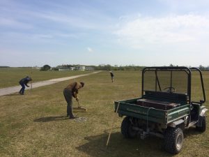 Stone picking 30 April
